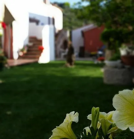 L'ogliera Dell'aia * Pomonte