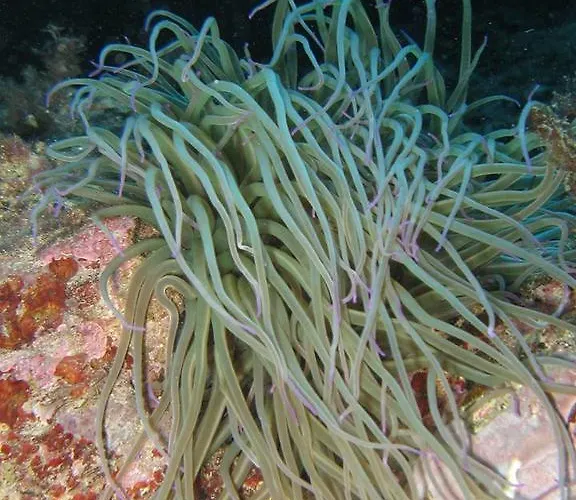 شقة L'ogliera Dell'aia *